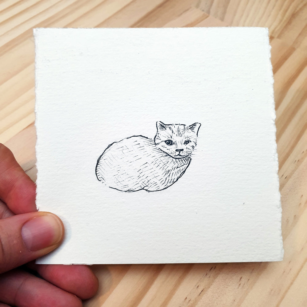 Are you a cute cat? | Prophetic Art Project